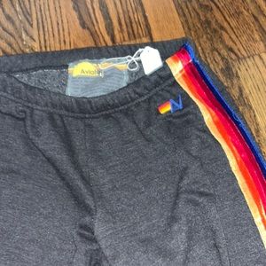 Aviator nation velvet sweatpants